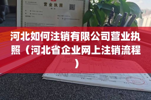 河北如何注销有限公司营业执照（河北省企业网上注销流程）