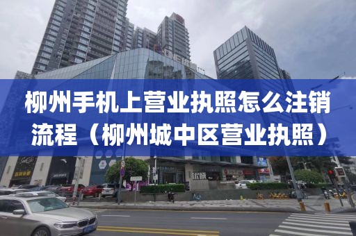 柳州手机上营业执照怎么注销流程（柳州城中区营业执照）