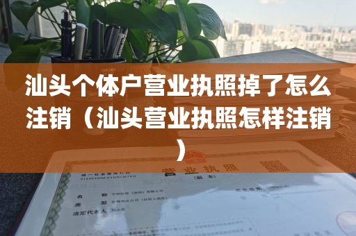 汕头个体户营业执照掉了怎么注销（汕头营业执照怎样注销）