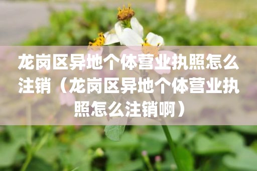 龙岗区异地个体营业执照怎么注销（龙岗区异地个体营业执照怎么注销啊）