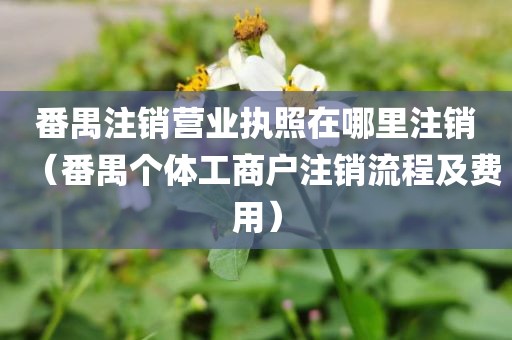 番禺注销营业执照在哪里注销(番禺个体工商户注销流程及费用)