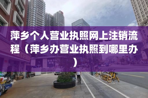 萍乡个人营业执照网上注销流程（萍乡办营业执照到哪里办）
