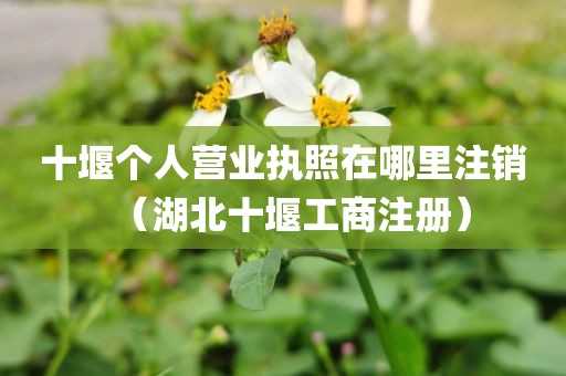 十堰个人营业执照在哪里注销（湖北十堰工商注册）