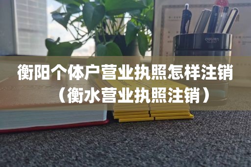 衡阳个体户营业执照怎样注销（衡水营业执照注销）