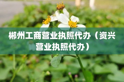 郴州工商营业执照代办（资兴营业执照代办）