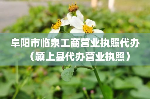 阜阳市临泉工商营业执照代办（颍上县代办营业执照）