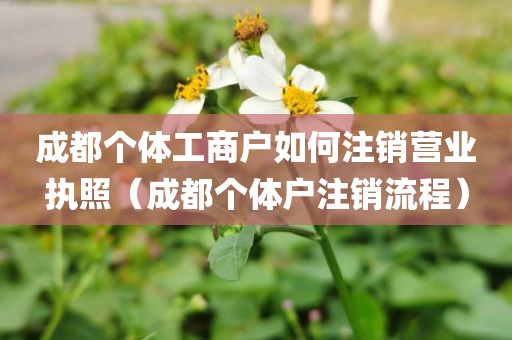 成都个体工商户如何注销营业执照（成都个体户注销流程）