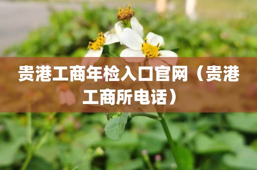 贵港工商年检入口官网（贵港工商所电话）