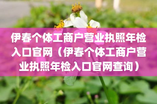 伊春个体工商户营业执照年检入口官网（伊春个体工商户营业执照年检入口官网查询）