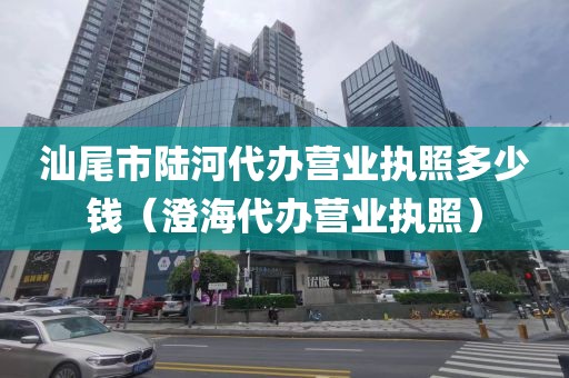 汕尾市陆河代办营业执照多少钱（澄海代办营业执照）