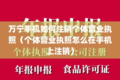 万宁手机如何注销个体营业执照(个体营业执照怎么在手机上注销)
