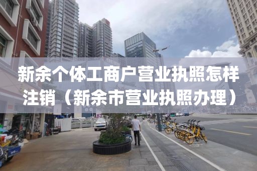 新余个体工商户营业执照怎样注销（新余市营业执照办理）