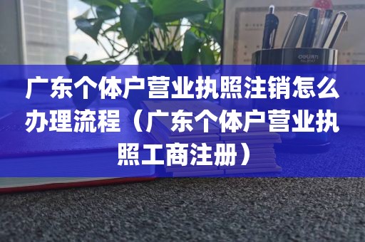 广东个体户营业执照注销怎么办理流程（广东个体户营业执照工商注册）