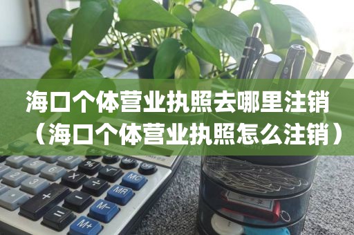 海口个体营业执照去哪里注销（海口个体营业执照怎么注销）