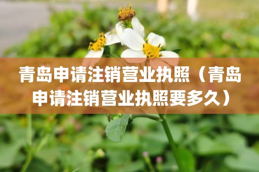 青岛申请注销营业执照（青岛申请注销营业执照要多久）